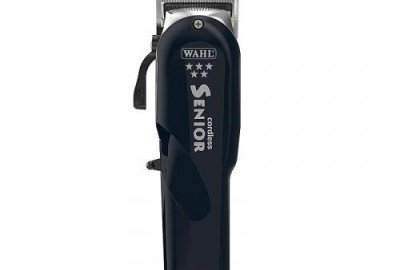 bildergalerie image 7