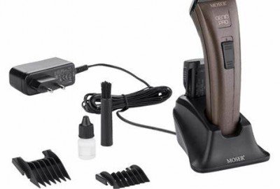 bildergalerie image 10