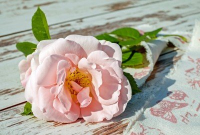 bildergalerie image 4