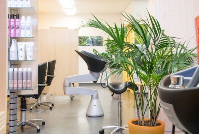 bildergalerie image 2